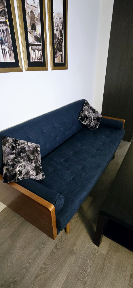 Blue Sofa - photo 2