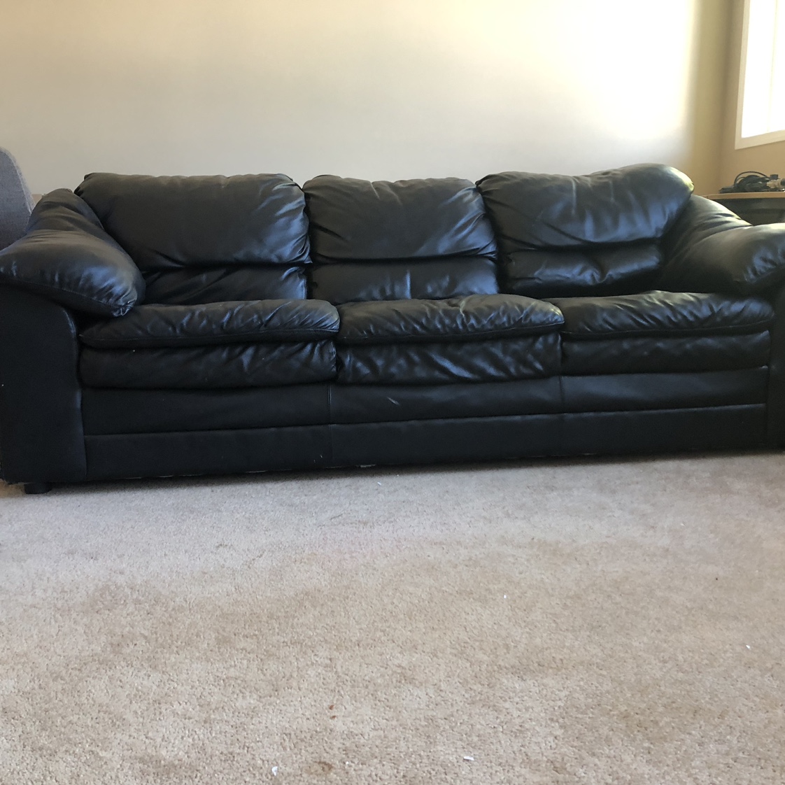 Leather Sofa