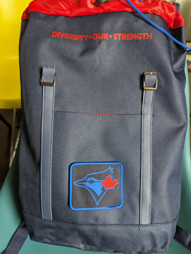 Brand New Blue Jays City Connect Backpack image indicator(3)