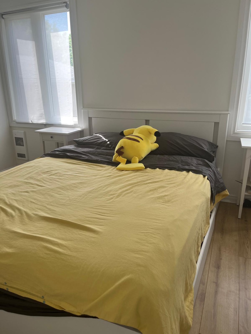 Queen size bed with mattress