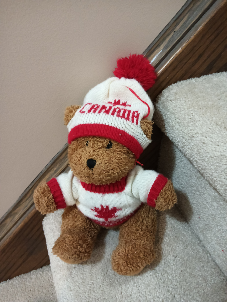 Canada Teddy Bear #freecycle