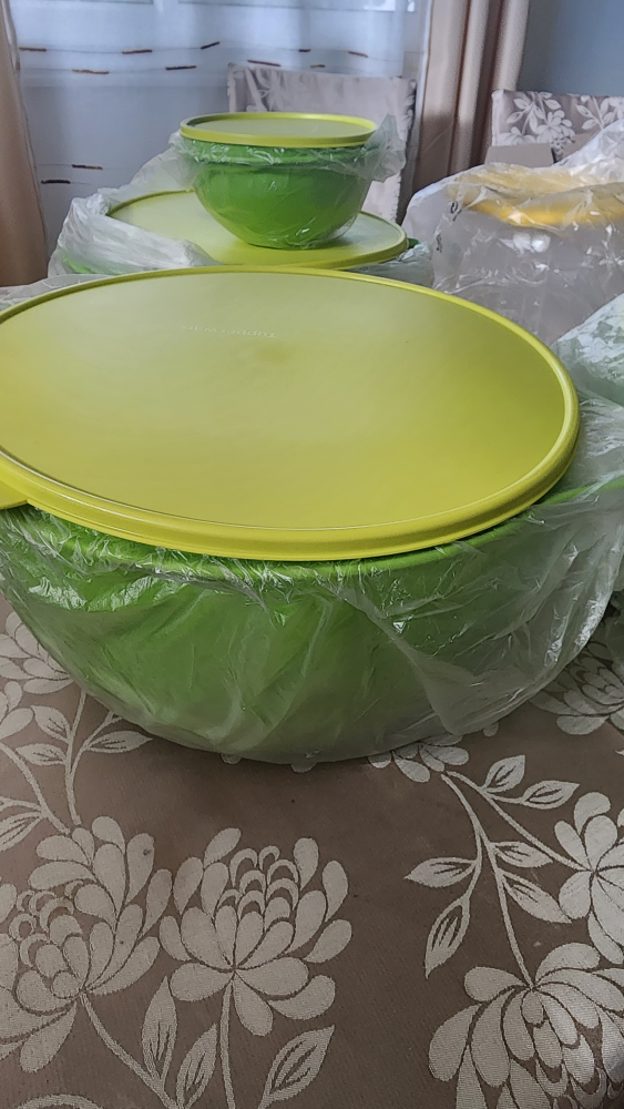 Tupperware Bowls and Carry All Cintainer - photo 3