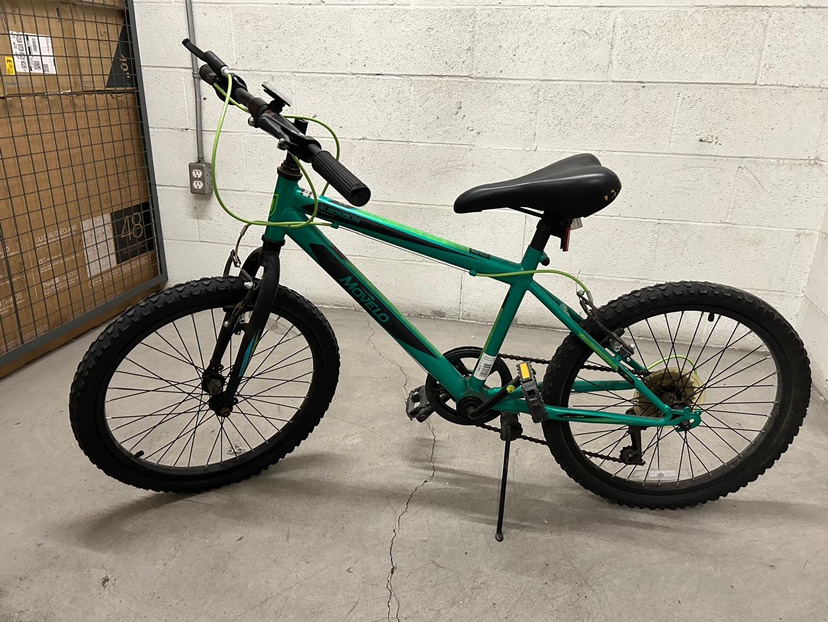 20 inch bike for kids