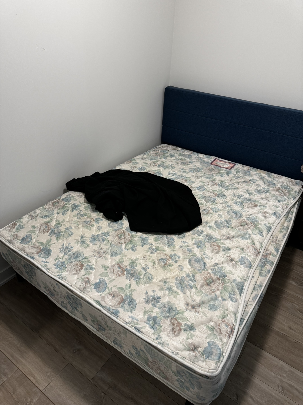Queen size very comfy mattress