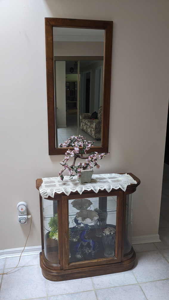 MOVING - Lighted Display Case & Mirror image indicator(2)