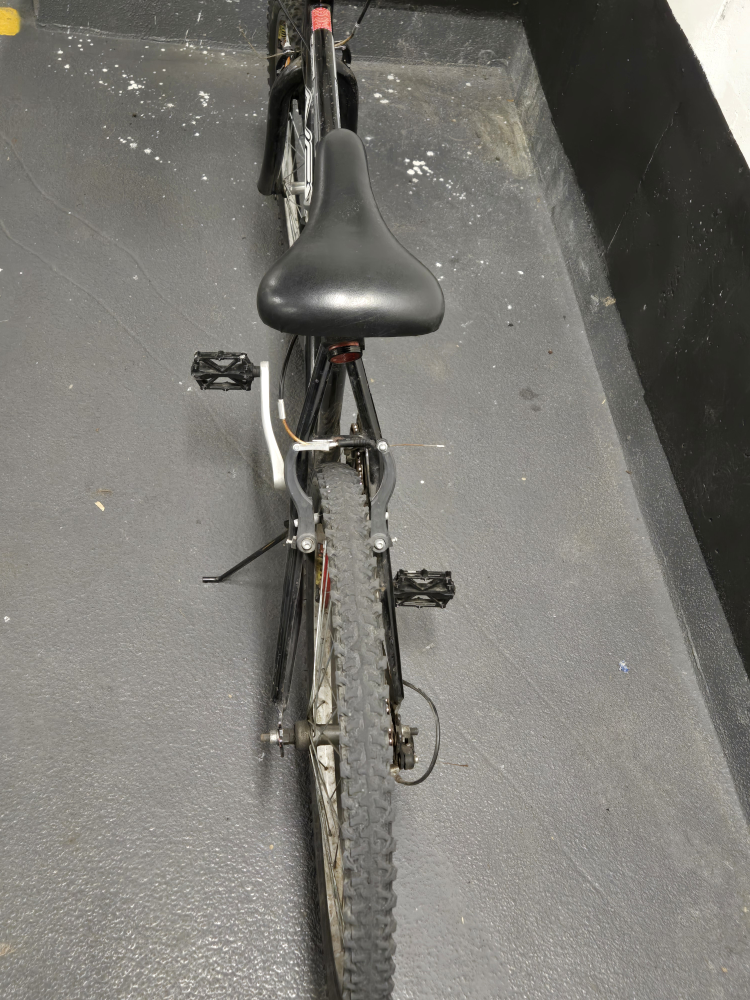 adult bick - photo 3