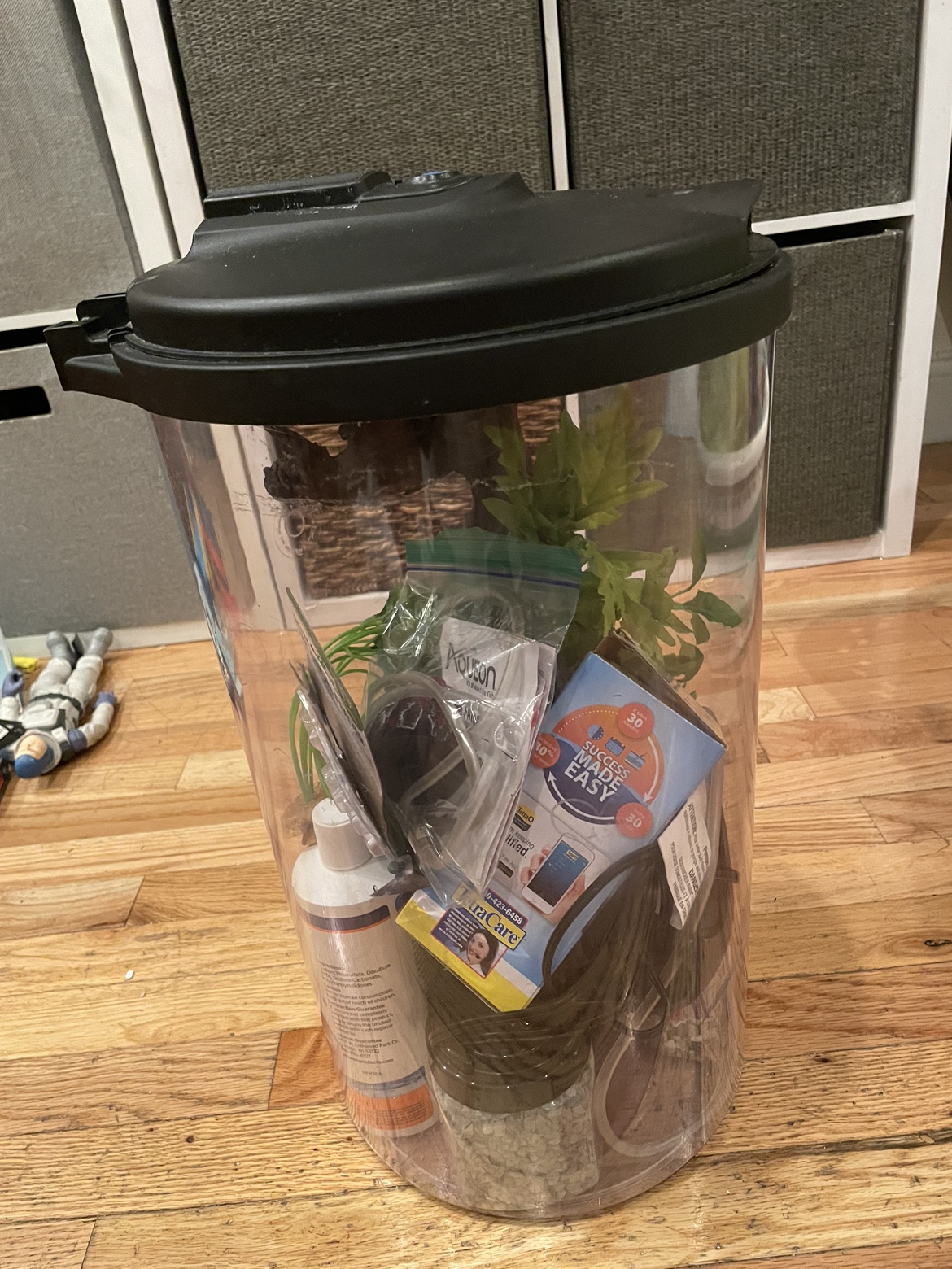 6 gallon aquarium for tropical fish - photo 3