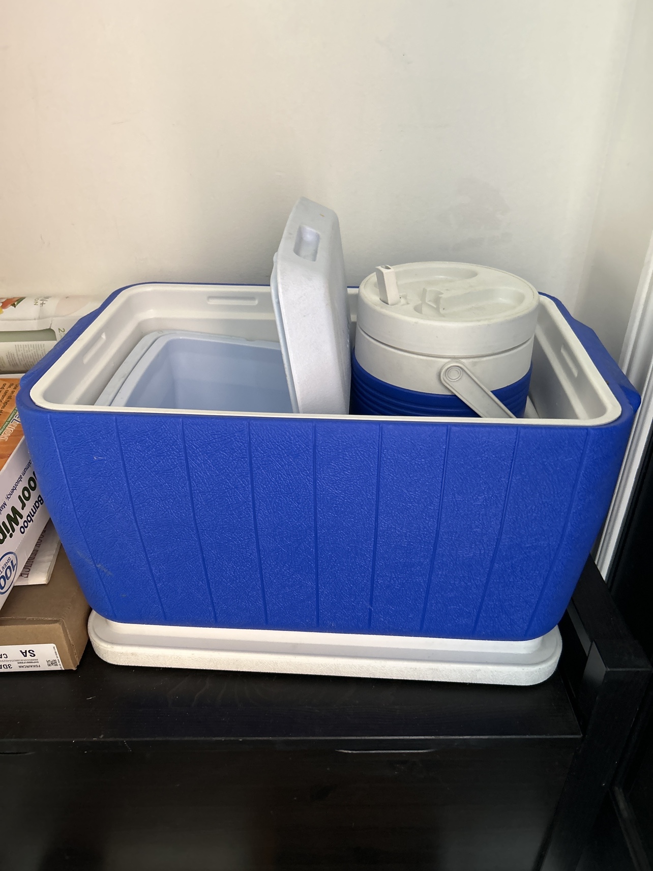 Picnic coolers