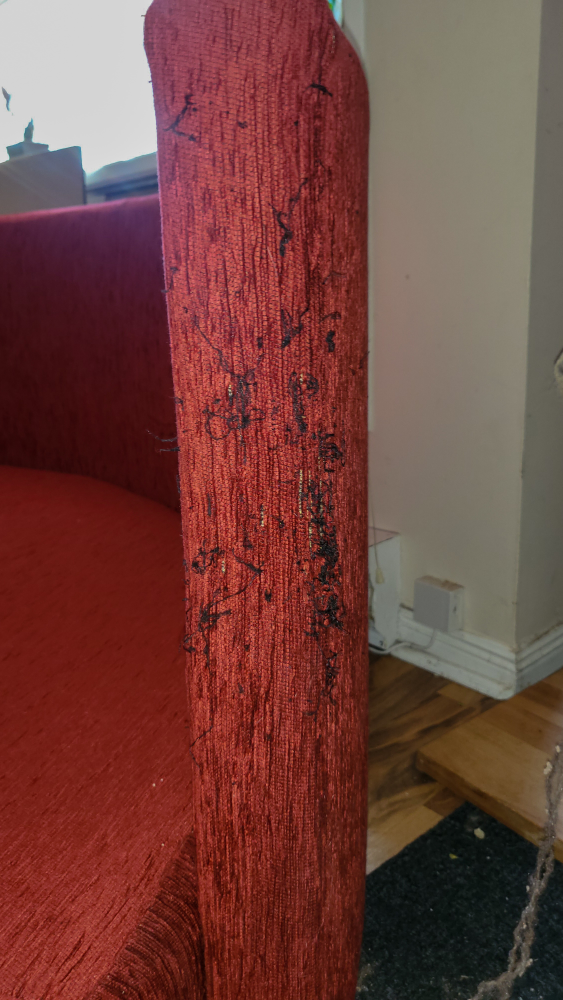 Couch made in poland - photo 5