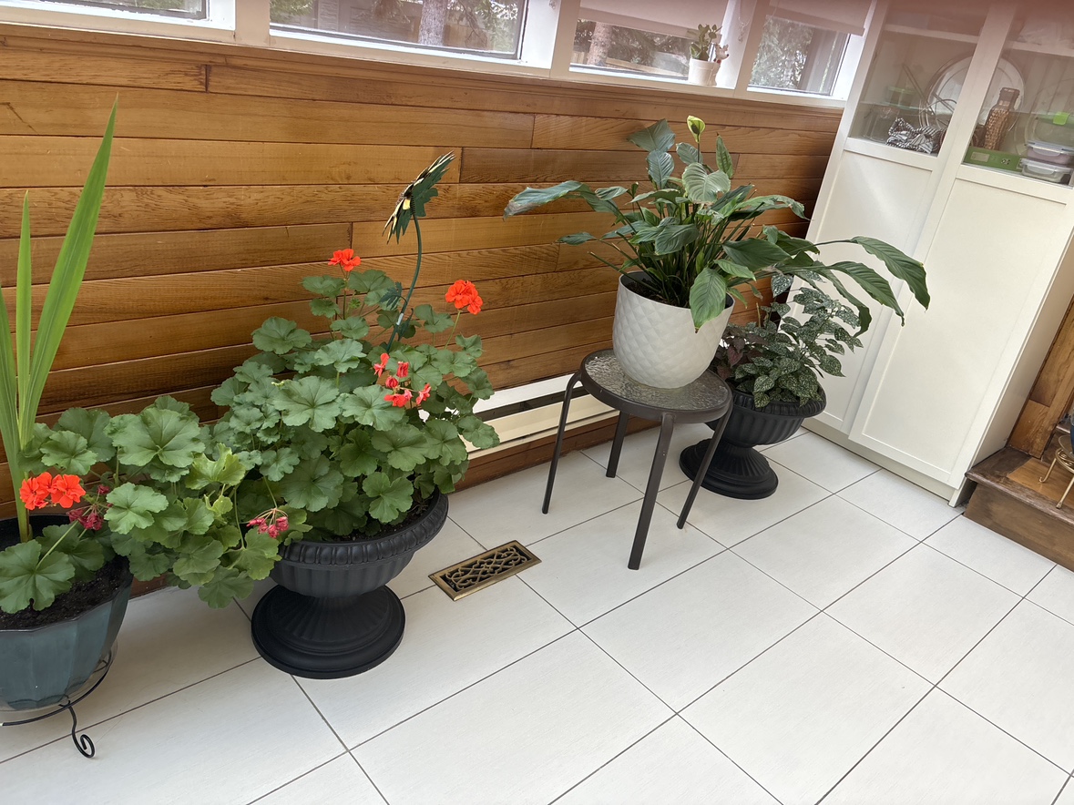 Plants - photo 3