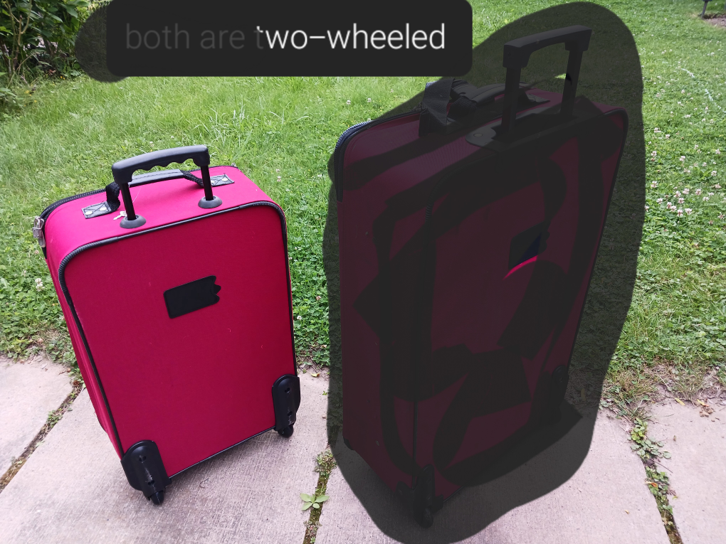 Travel bags 21" for carry-on onboard image indicator(2)