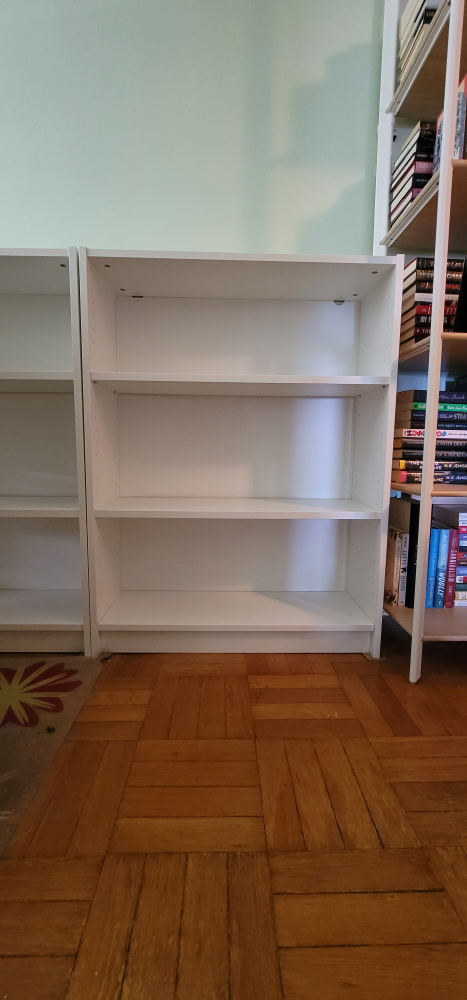 Ikea Billy Bookshelf