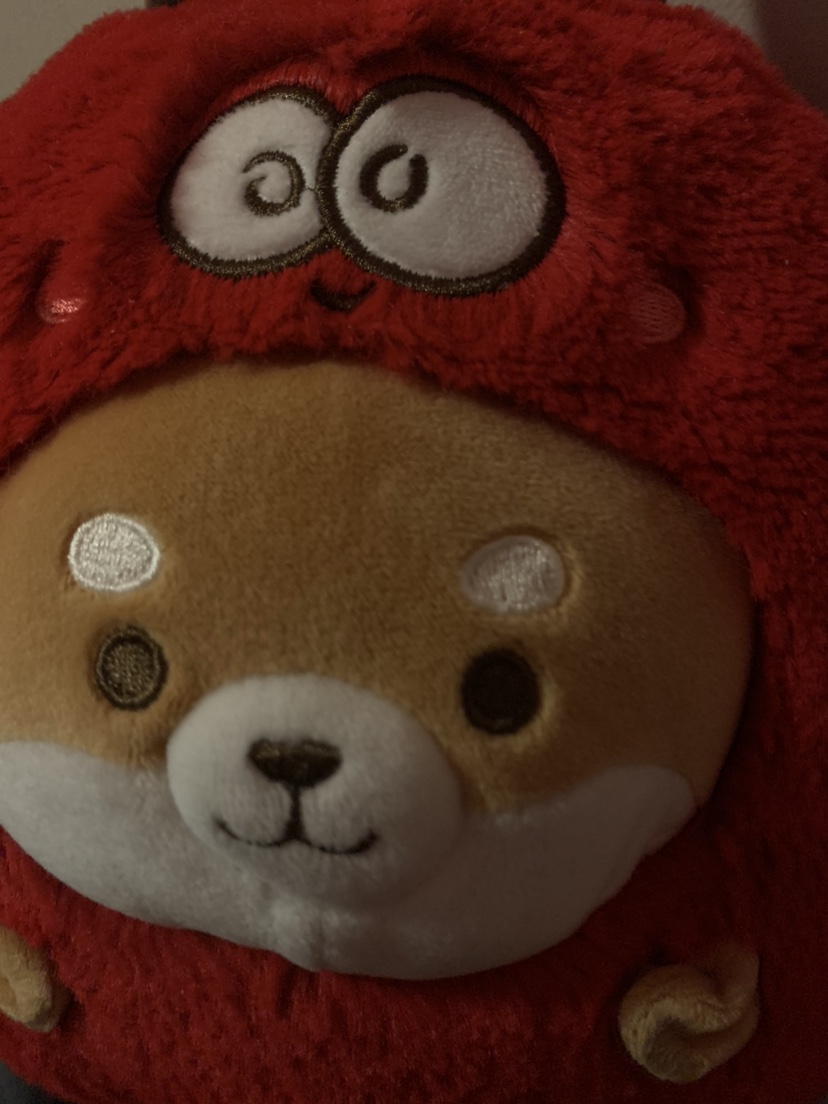 Miniso Plush #freecycle image indicator(2)