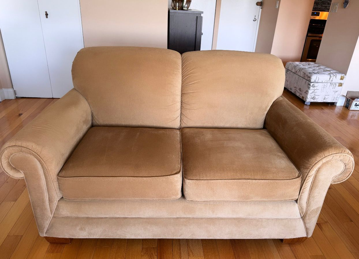 LazyBoy love seat