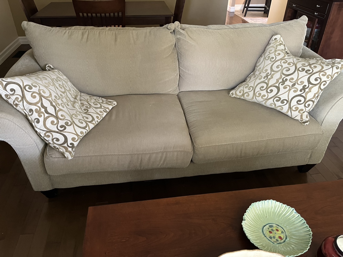 Sofa and 2 design pillows