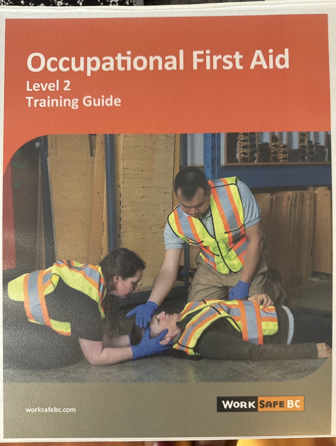First Aid level 2 manual thumbnail