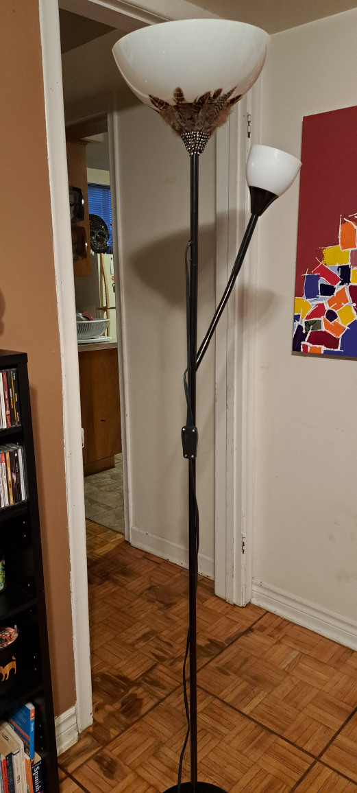 Floor Lamp with reading lamp image indicator(2)