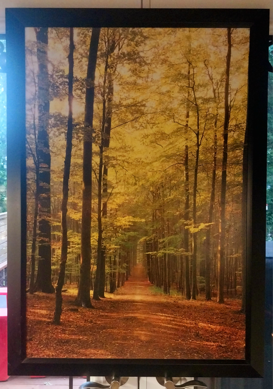 Framed Print (27.5" by 40”)
