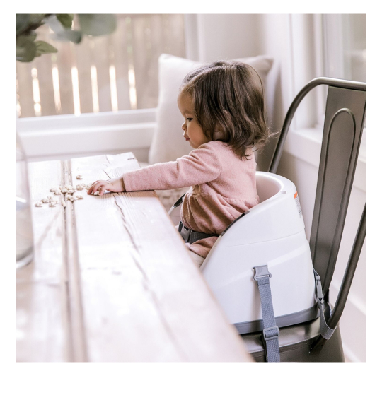 Baby Booster Seat Ingenuity image indicator(2)