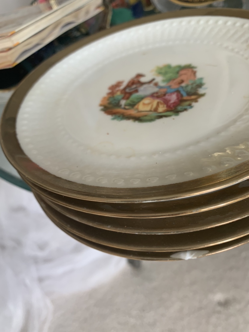 #freecykle VINTAGE.  Bavaria / Germany - 5 desert  plates. / image indicator(2)