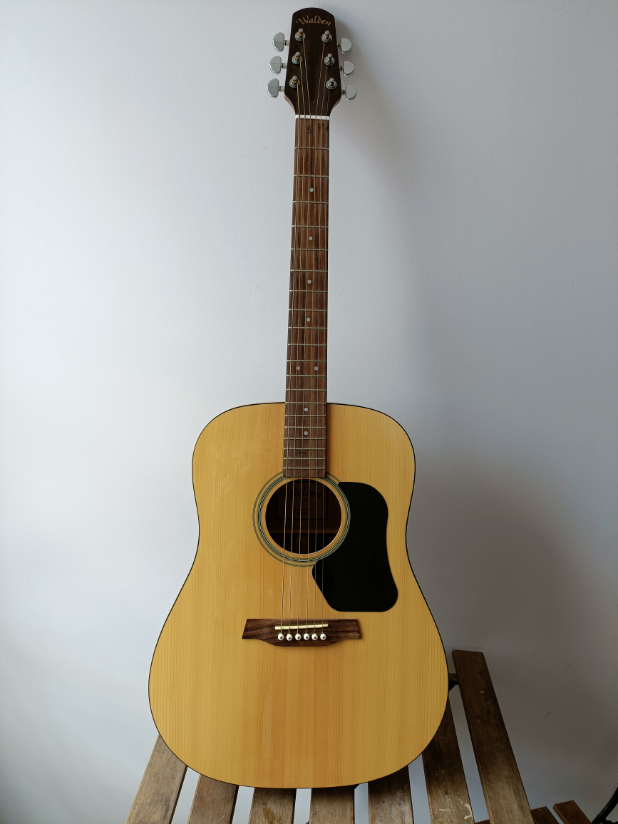 Guitar Walden D350