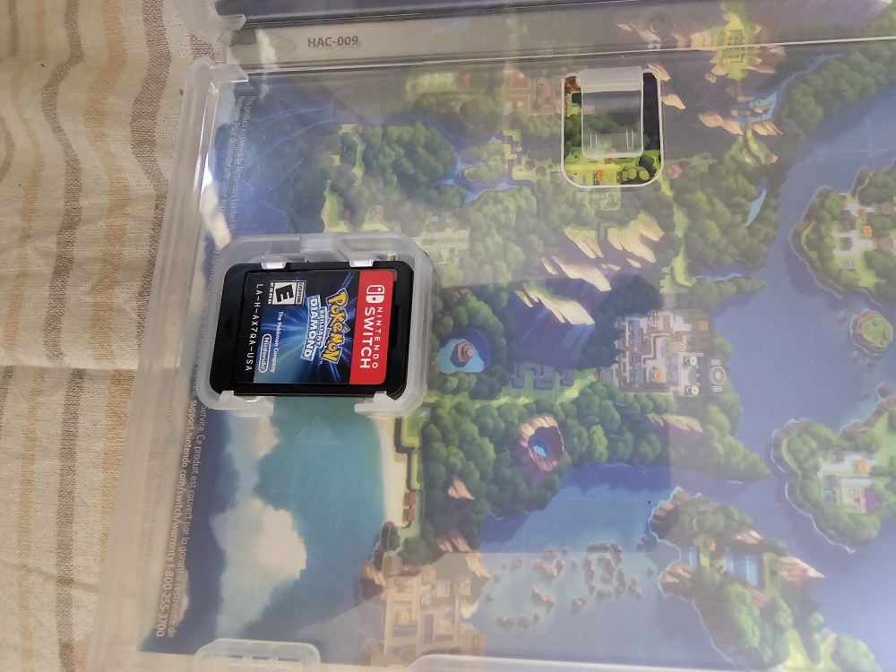 Pokemon Brilliant Diamond image indicator(2)