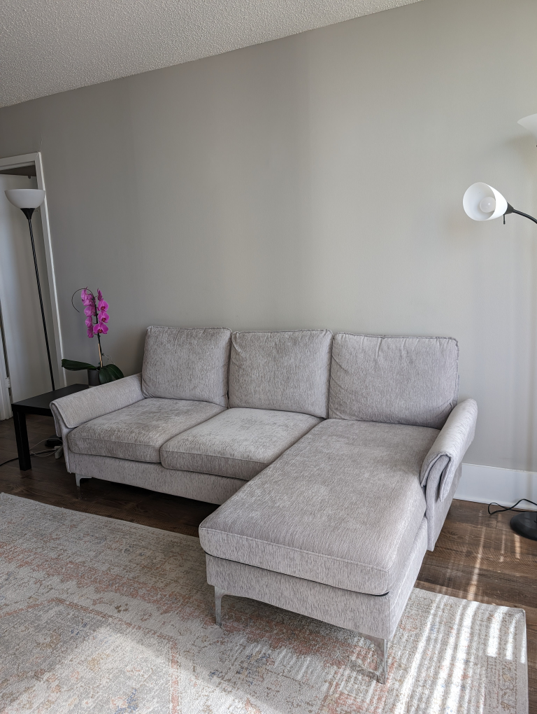 Grey Sectional - Single Owner