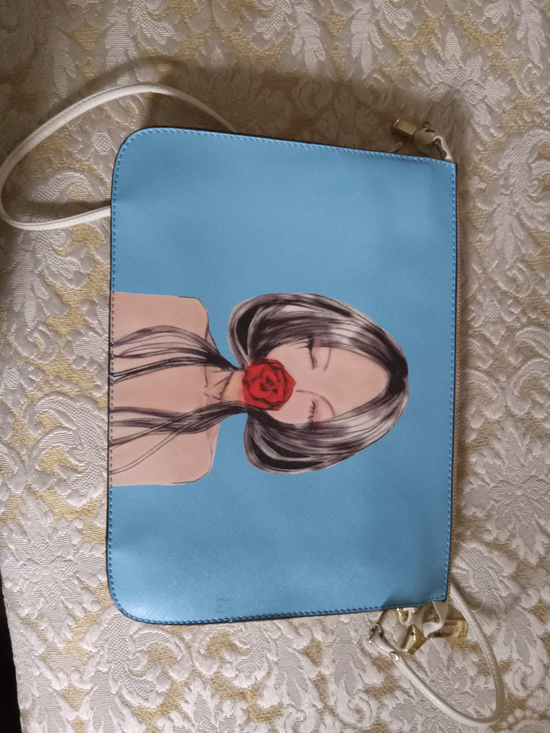 purse hand bag