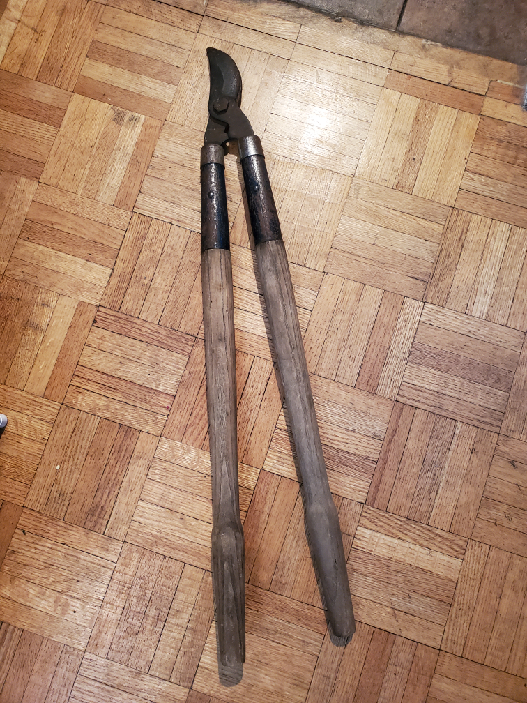 garden scissor thumbnail