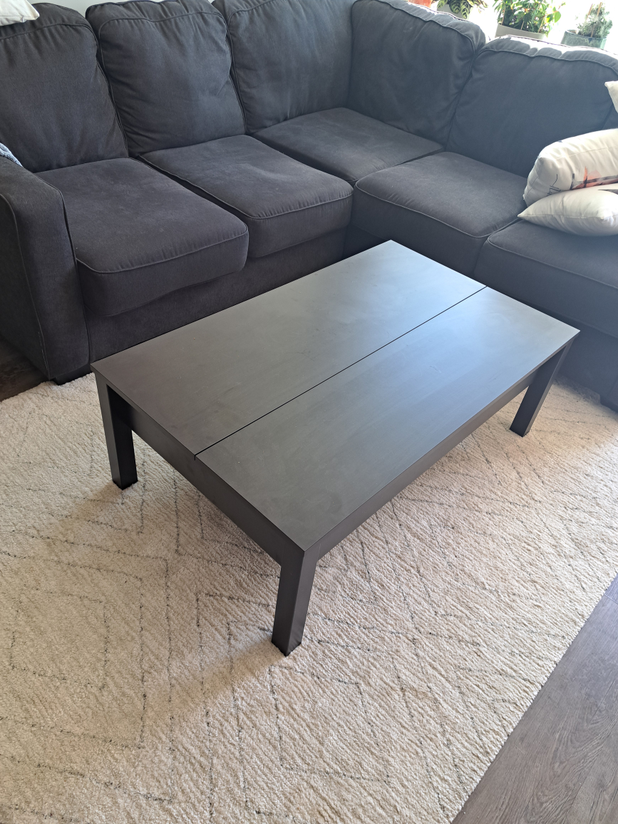 Storage Coffee Table