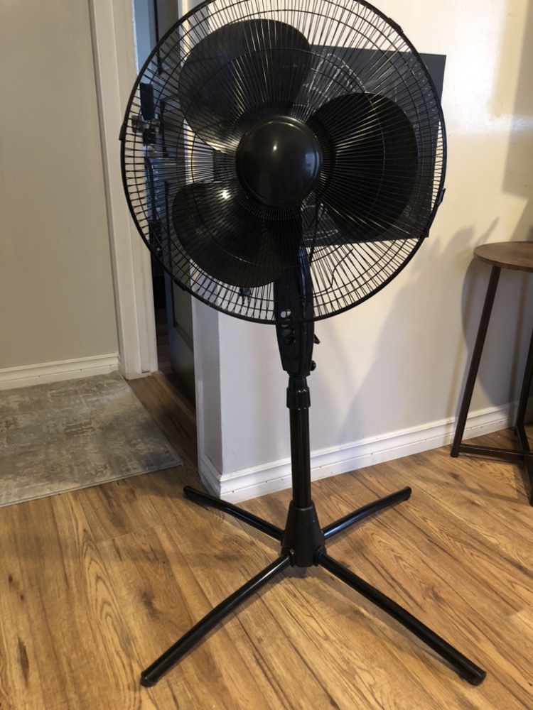 Electric fan