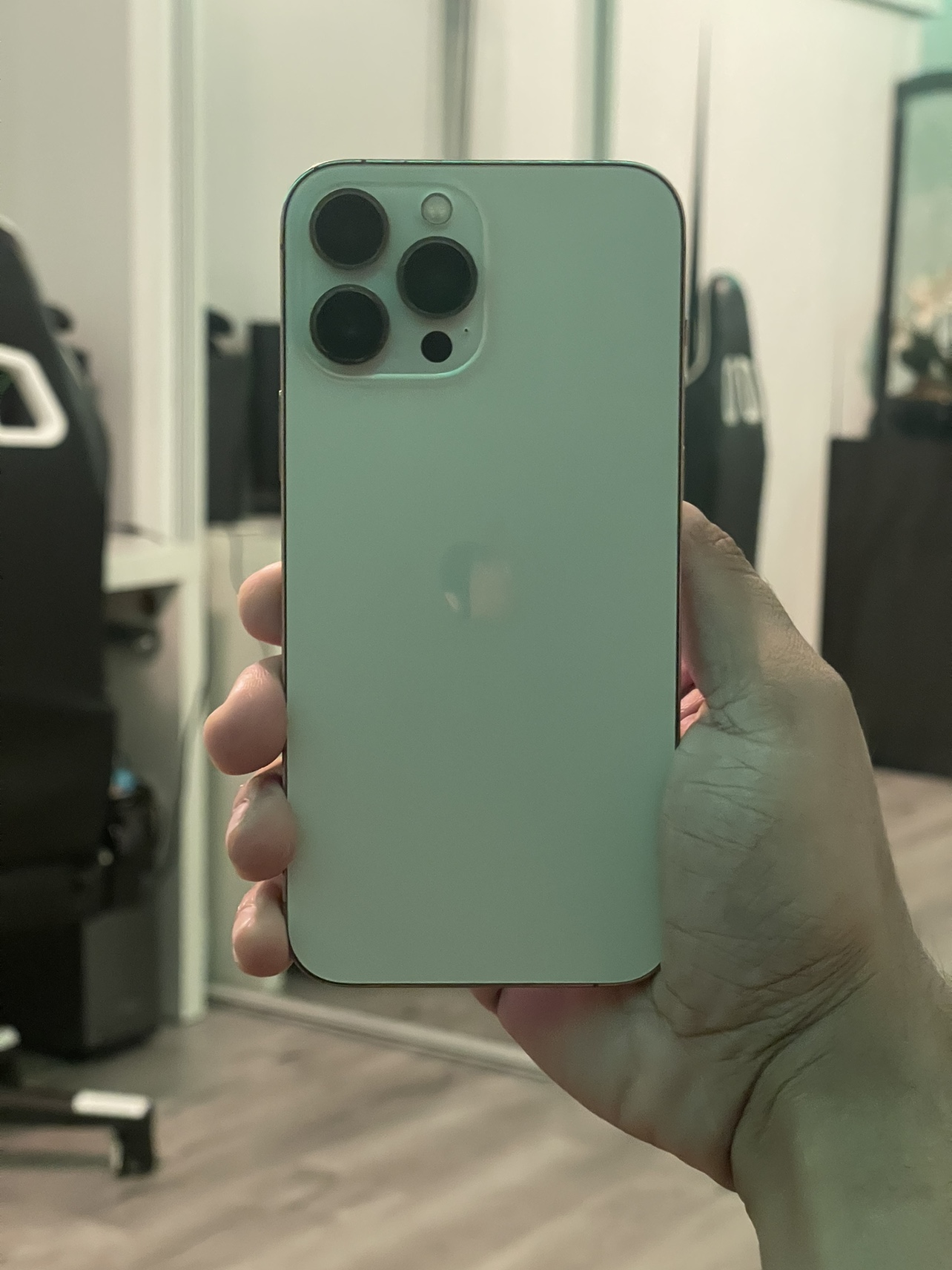 iPhone 13 Pro Max