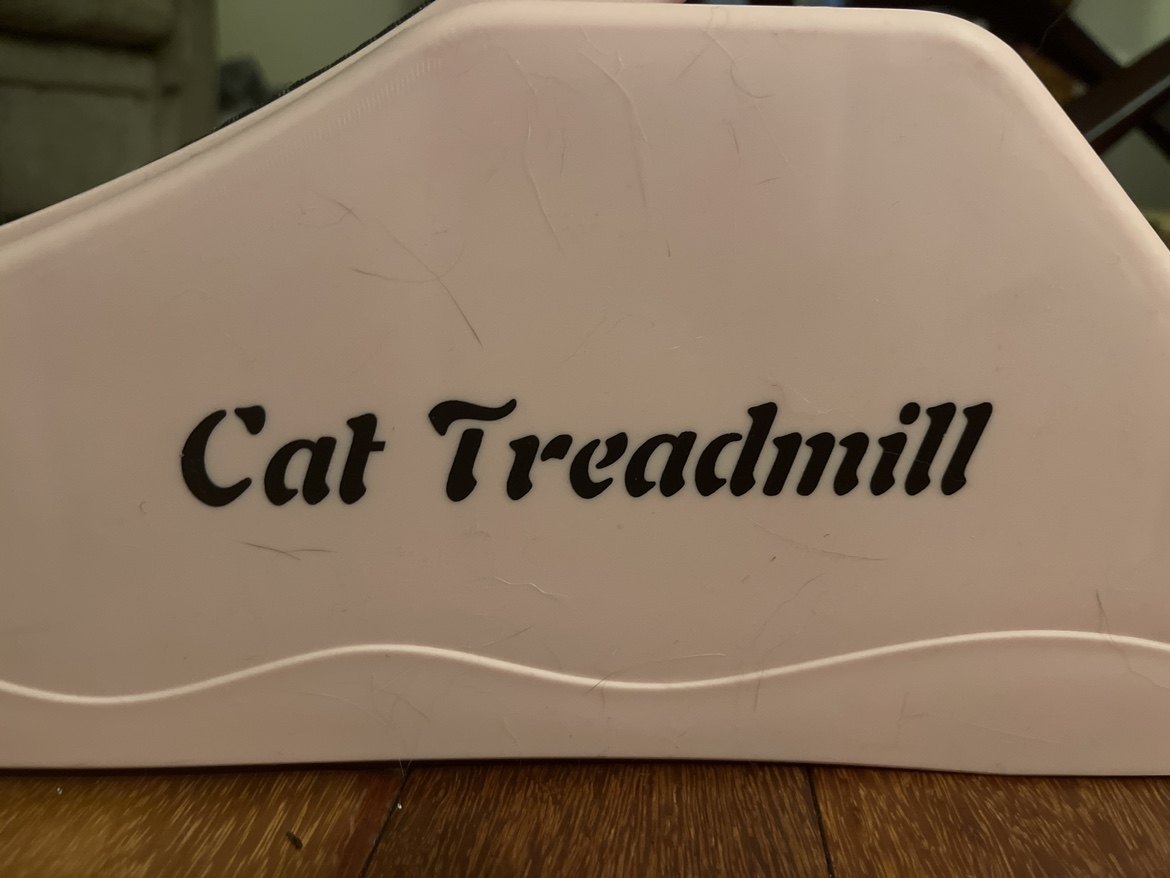 Cat Wheel/Treadmill - photo 2