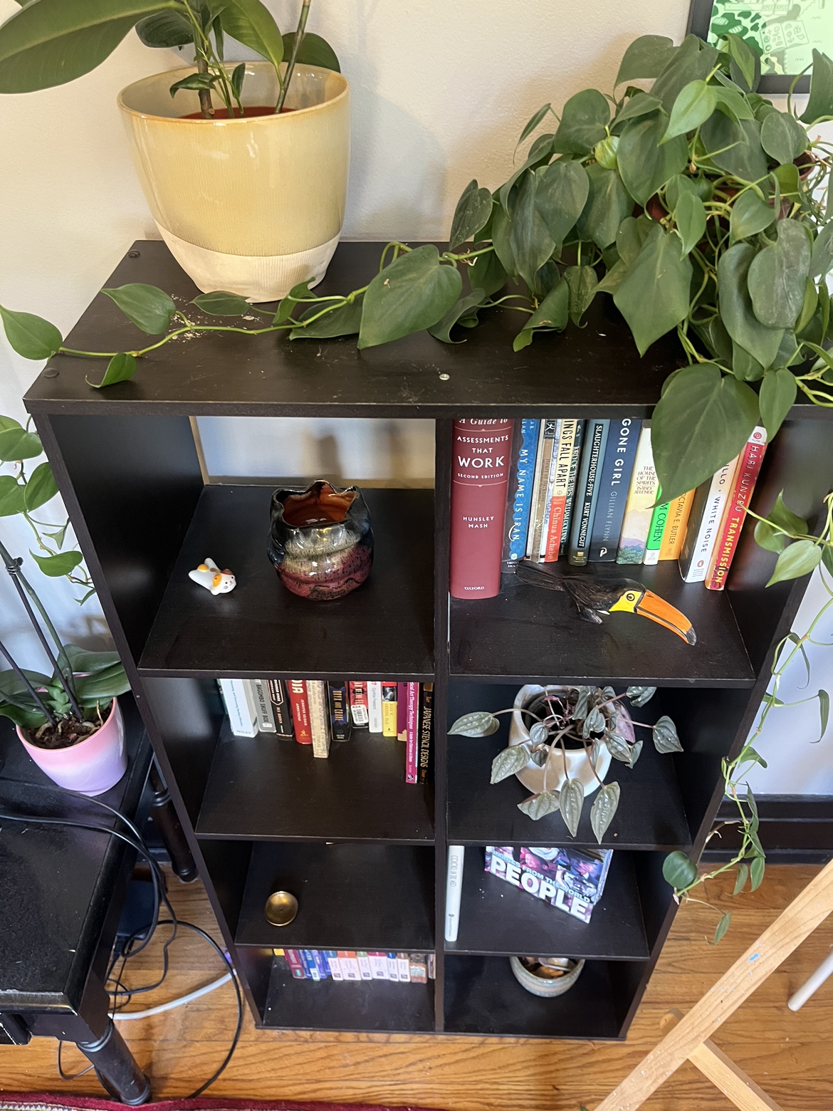 Bookshelf thumbnail