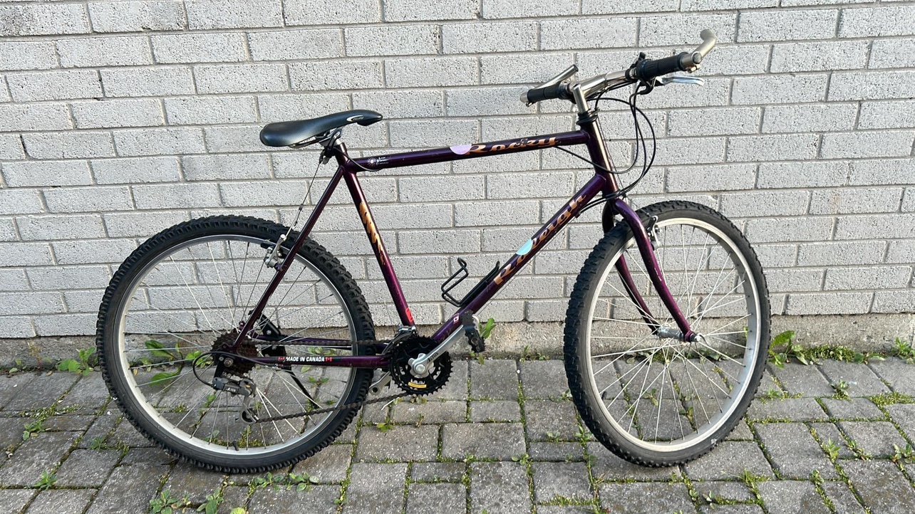 Raleigh Bicycle thumbnail