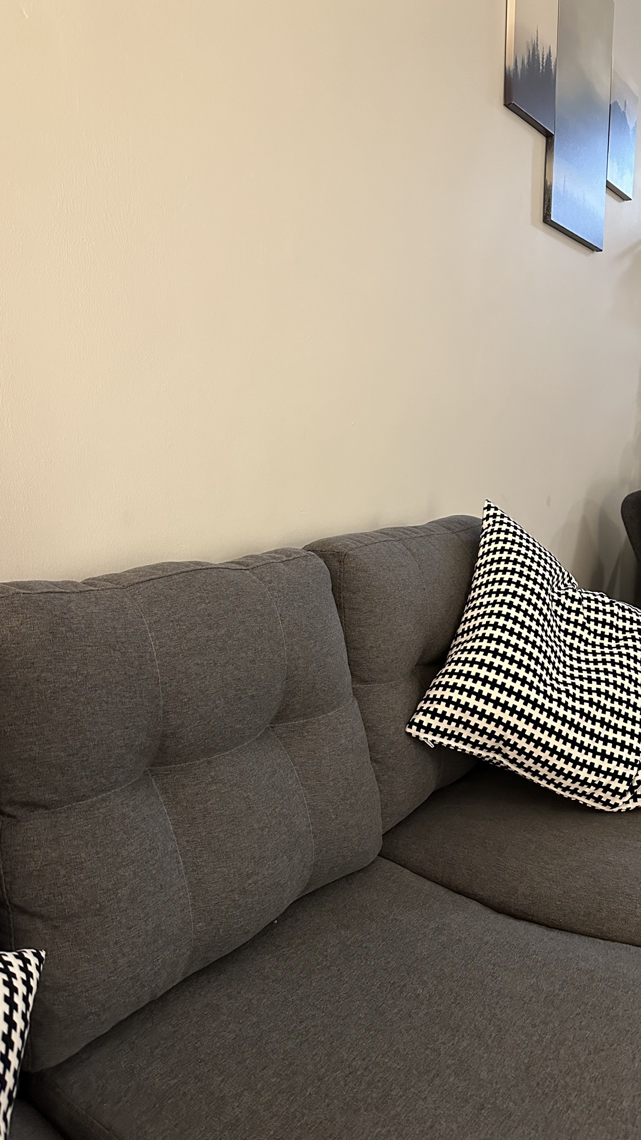 Couch - photo 5