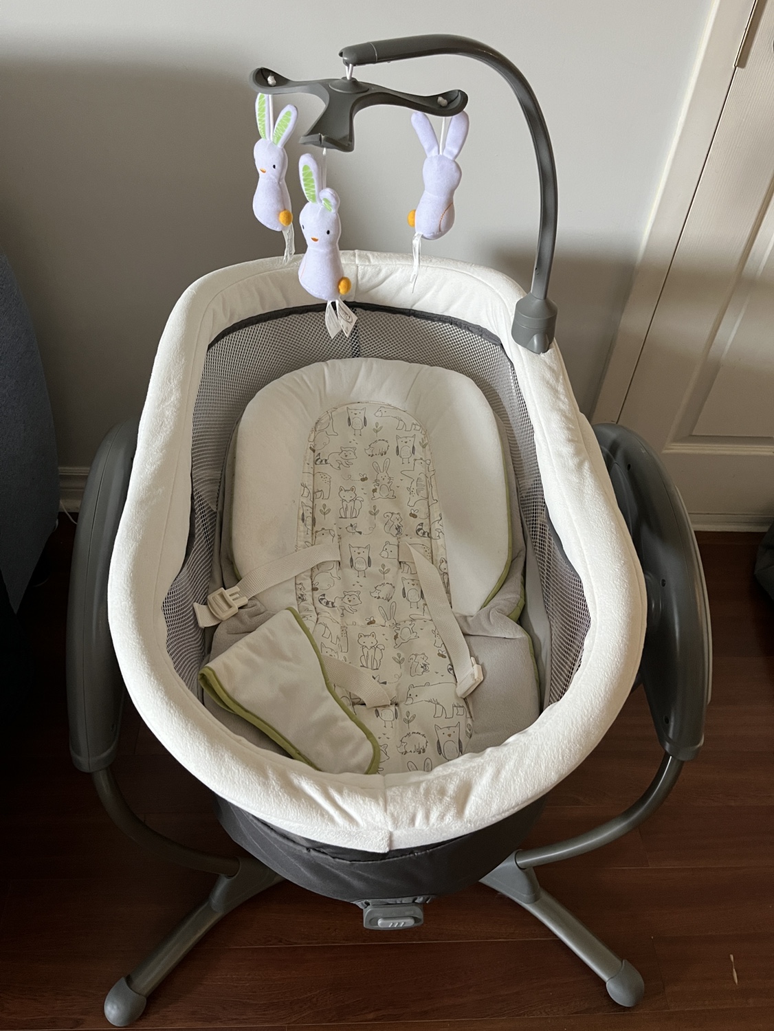 Graco Duoglider Gliding Swing, Rascal