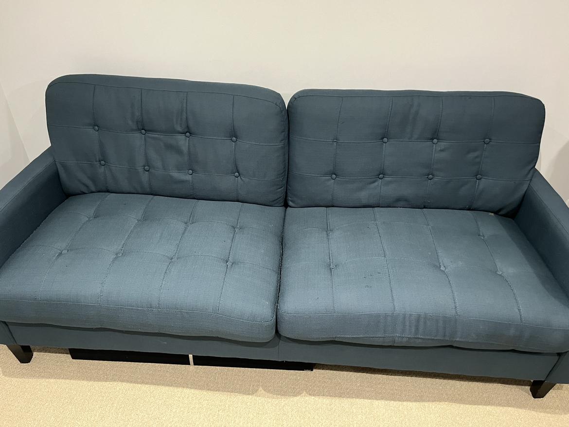 Sofa - Moving Sale - photo 2