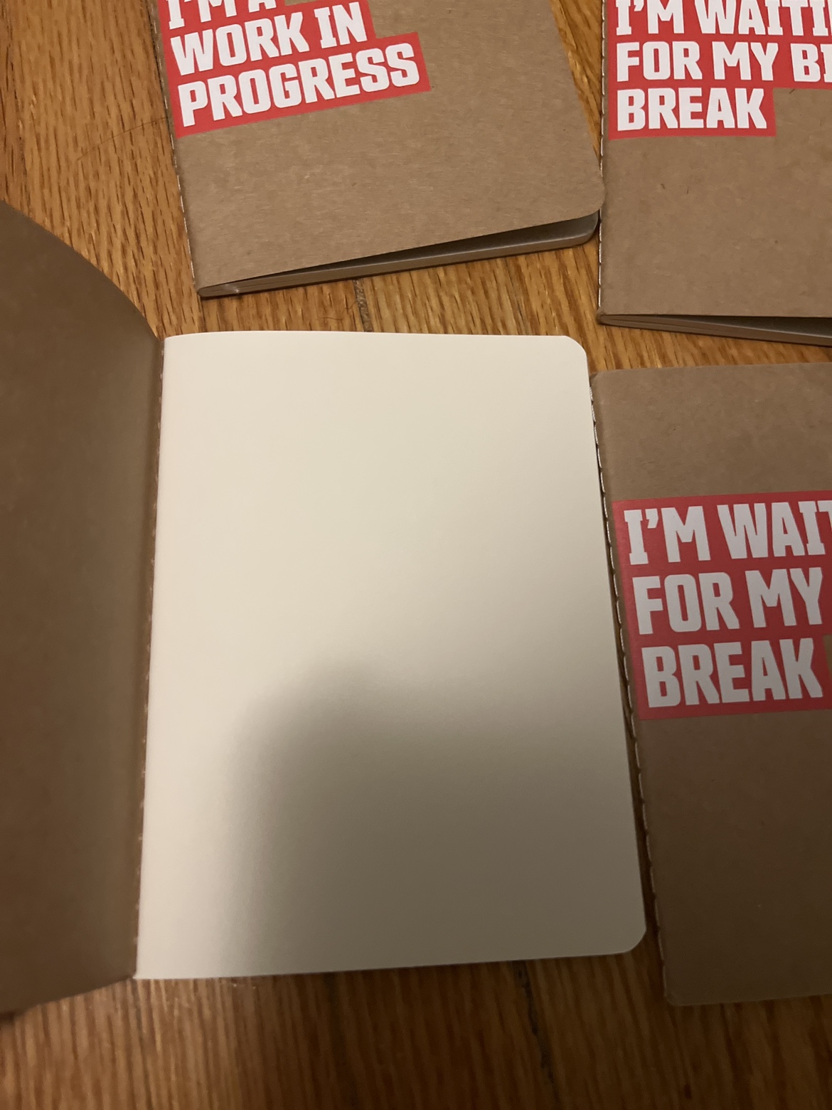 Blank notebooks - photo 2