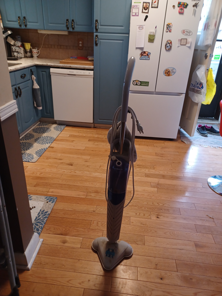 H2O STEAM CLEANER thumbnail