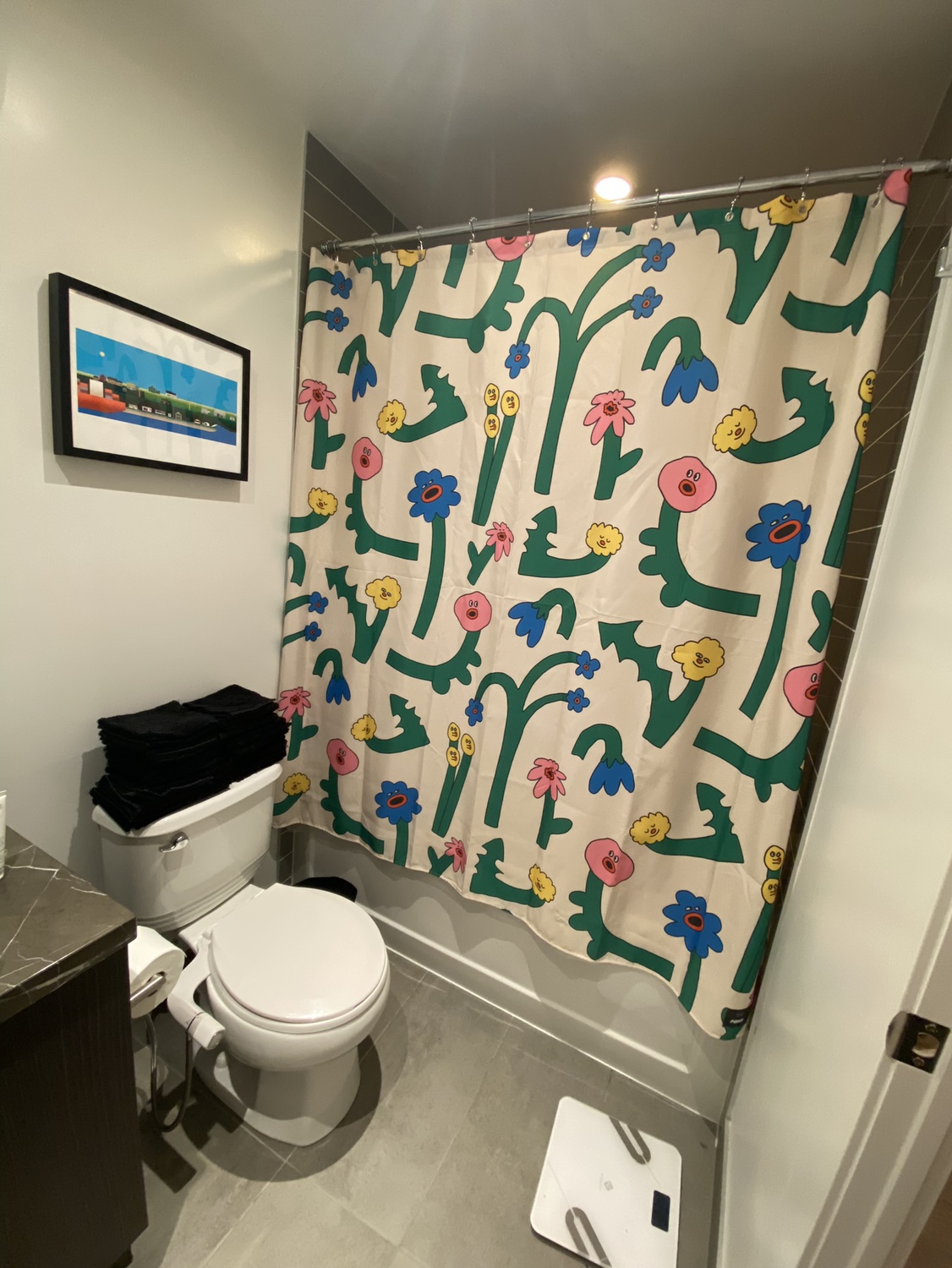 Shower curtain