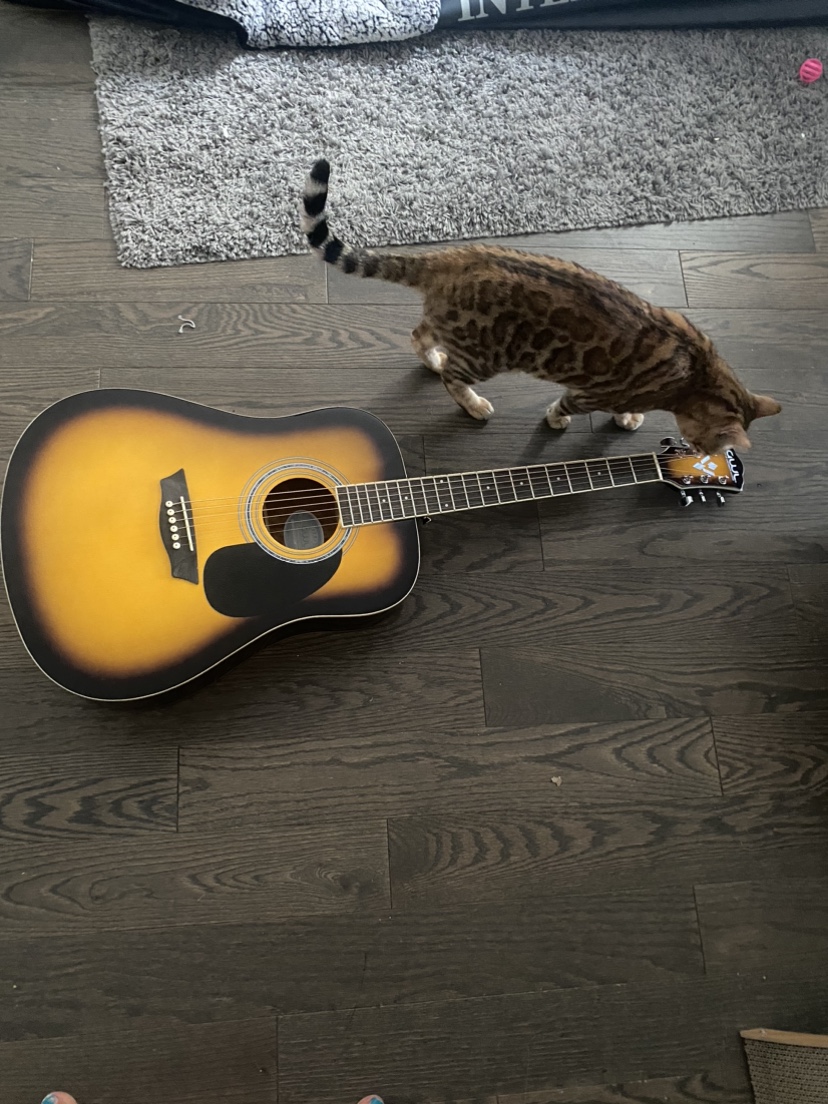 Acoustic Guitar image indicator(6)