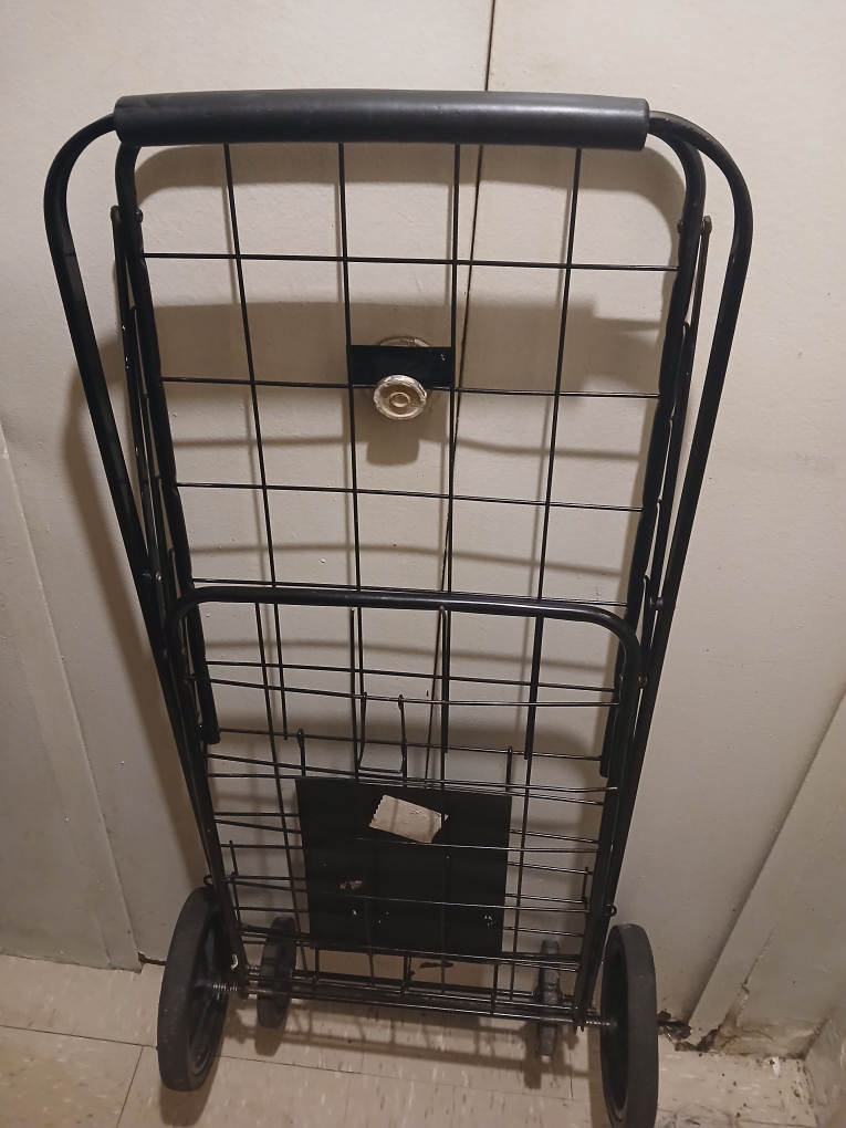 large shopping cart - photo 2