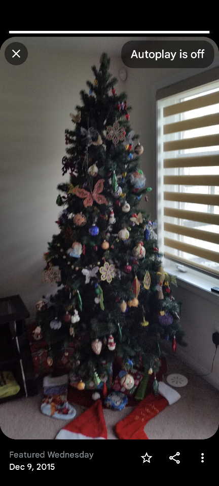 Christmas tree - photo 2