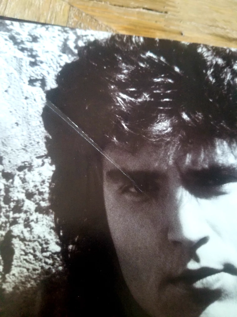 Richard Marx - Repeat Offender 90s Record Album - Vintage 12" image indicator(5)