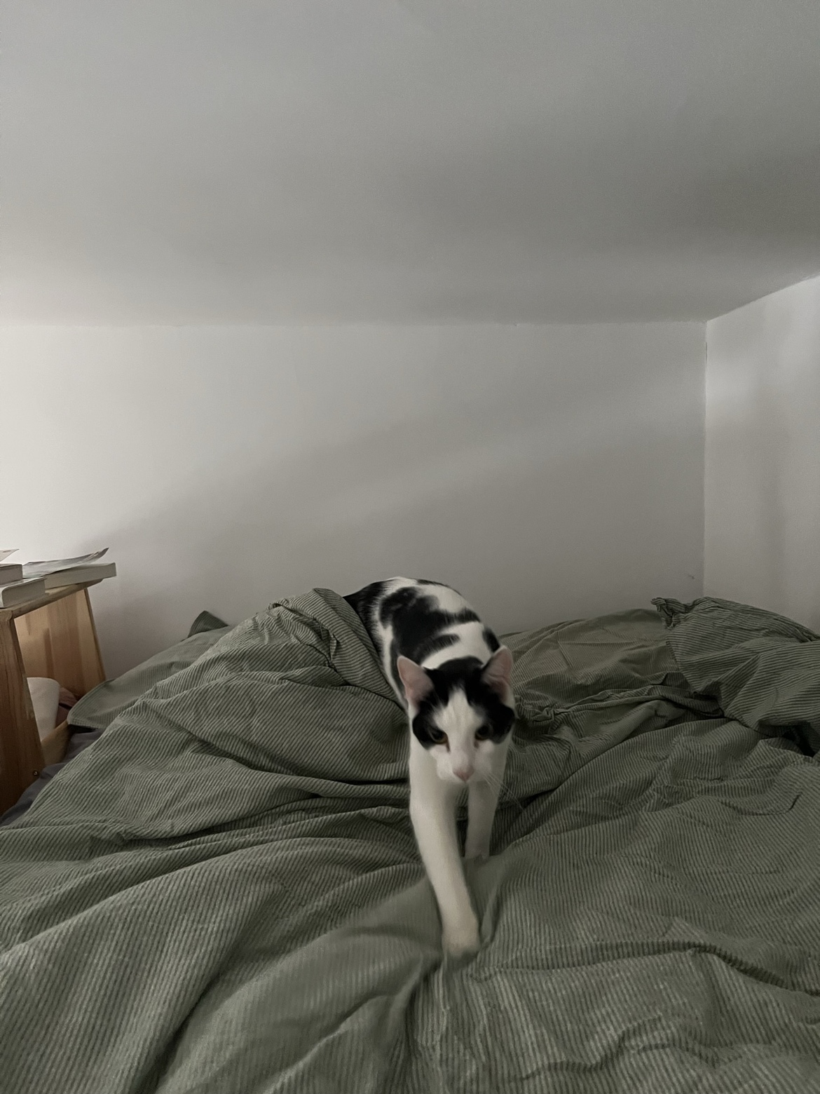 Mattress full size memory foam