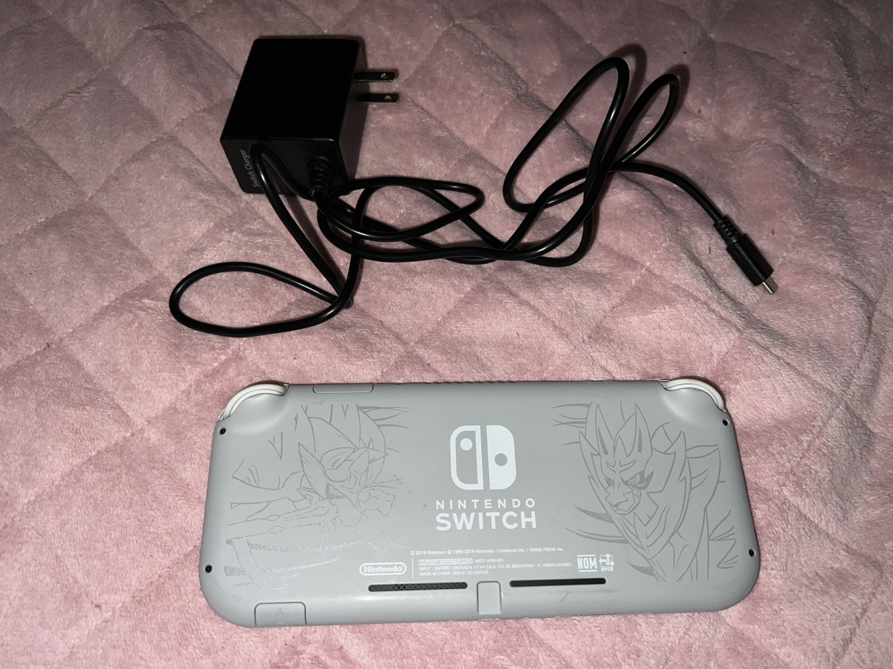 Nintendo Switch Lite Pokémon image indicator(2)