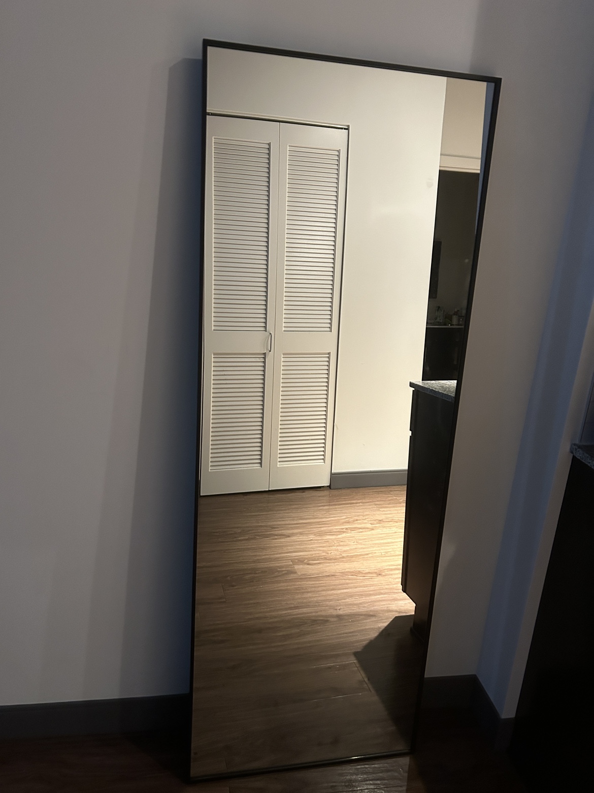 Mirror Full length - photo 2