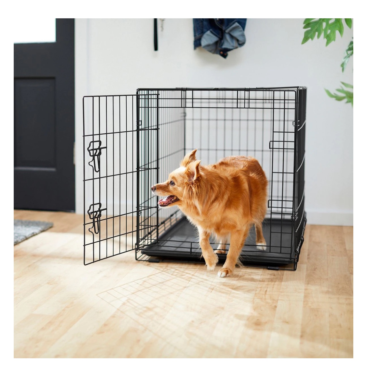 Dog crate - photo 2