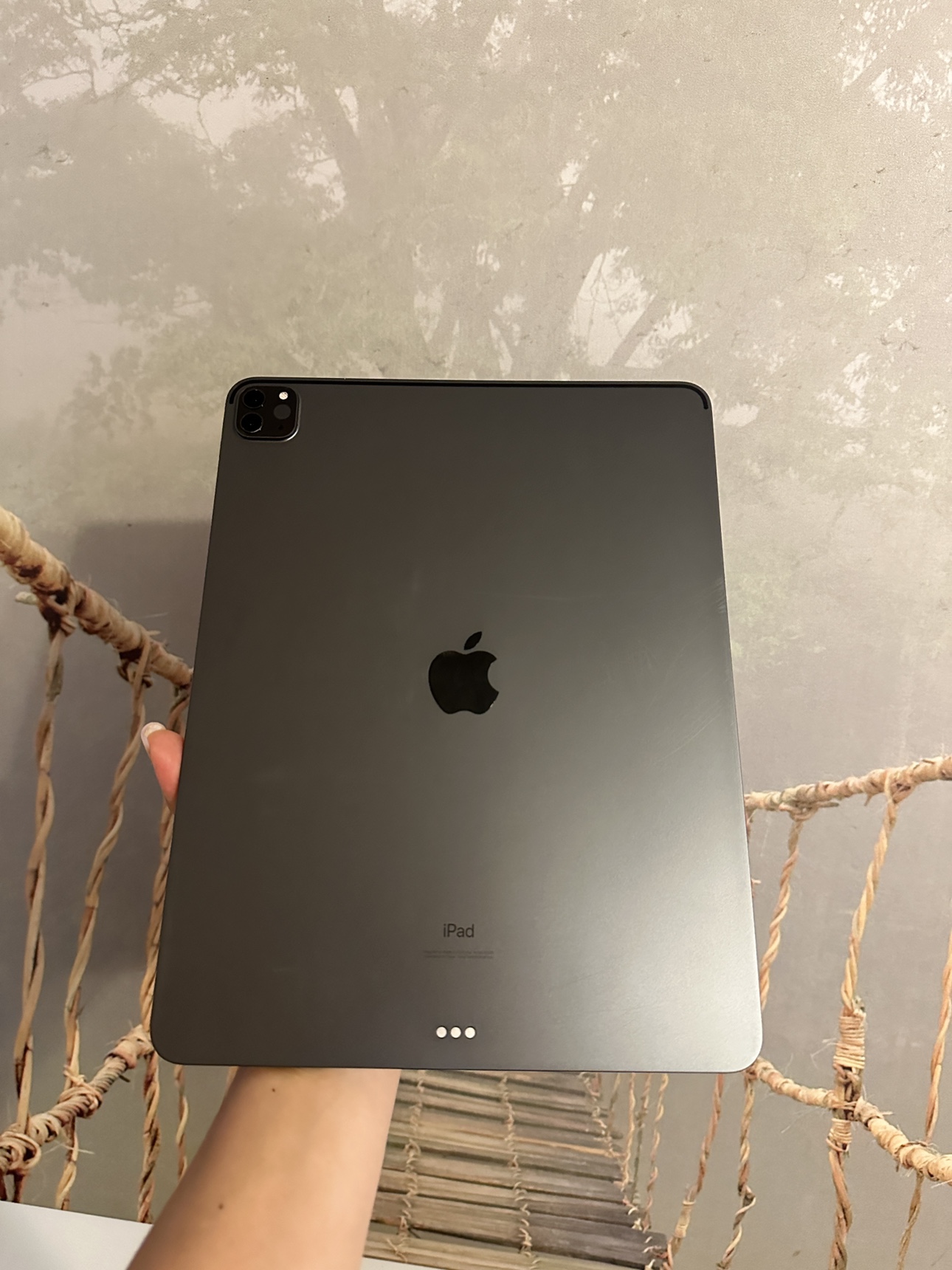 iPad Pro 12.9 4th WiFi Space Gray  128GB - photo 4